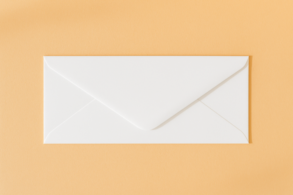 Envelop 22x11 wit