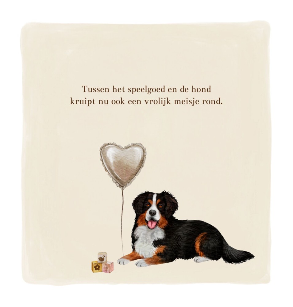 kaart binnenzijde links