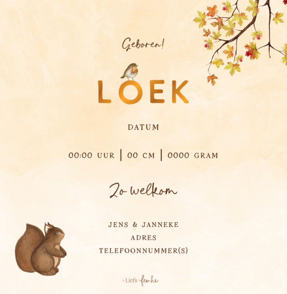 kaart achterzijde