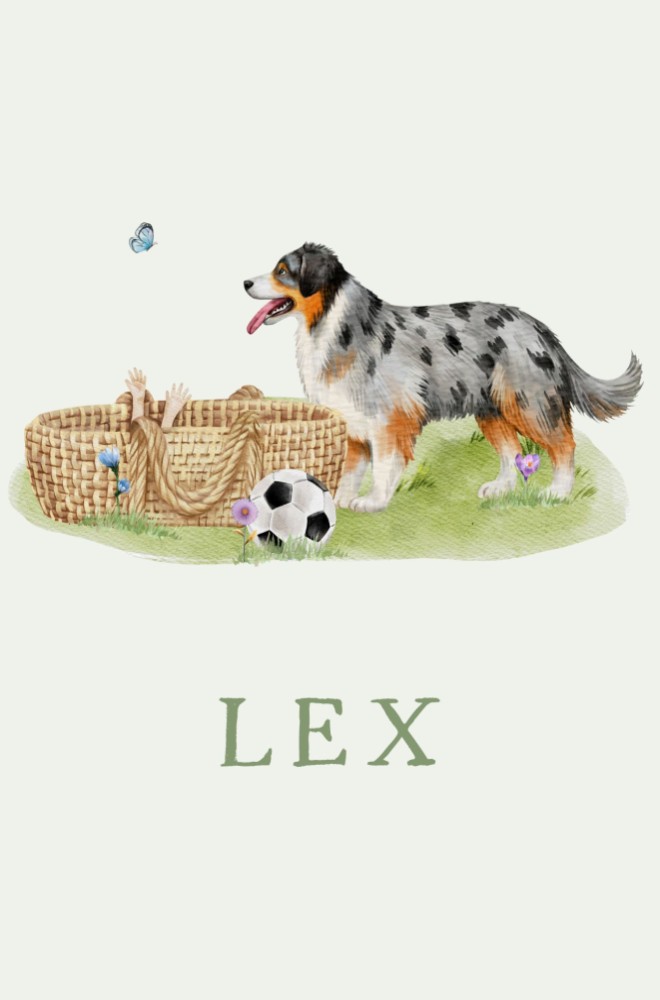 Geboortekaartje Lex - Australian Shephard hond bij mandje
