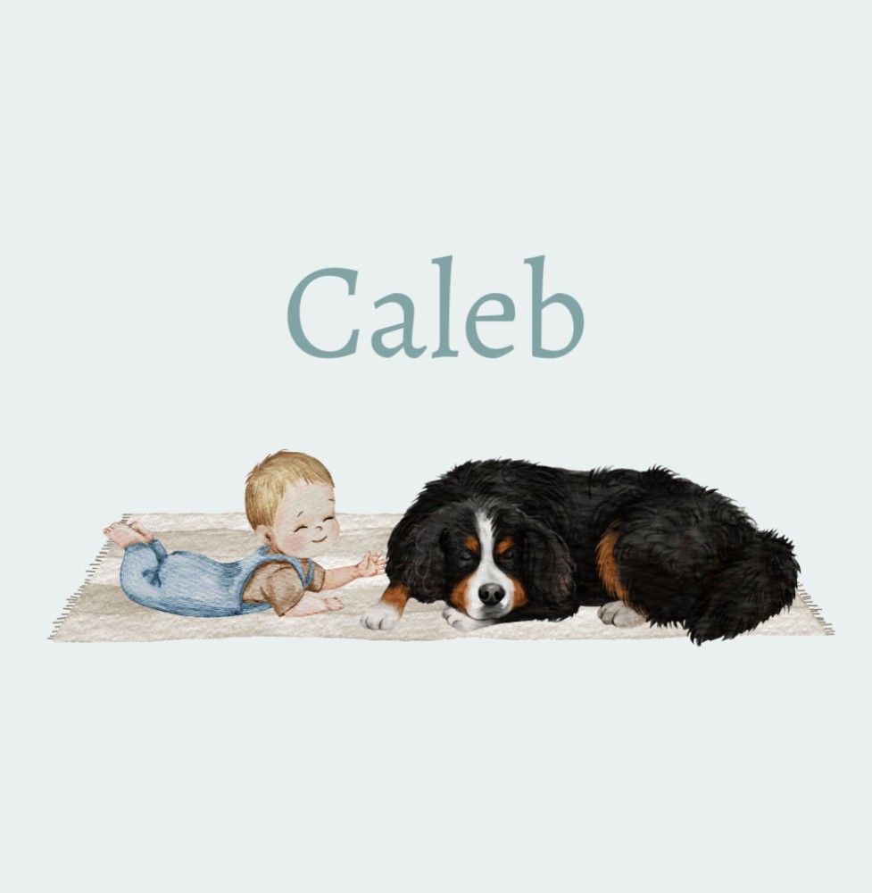 Geboortekaartje Caleb - Berner Sennen liggend met baby