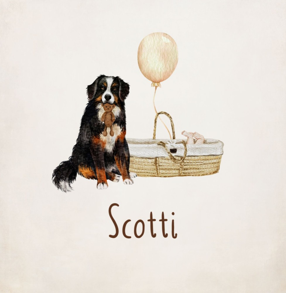 Geboortekaartje Scotti - Berner Sennen hond met knuffeltje bij mandje