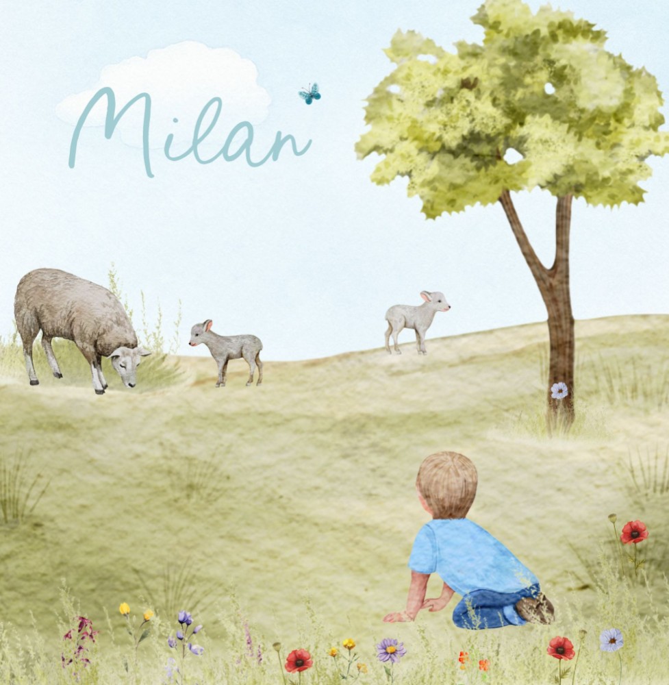 Geboortekaartje Milan - kindje zittend in weiland bij schapen en lammetjes