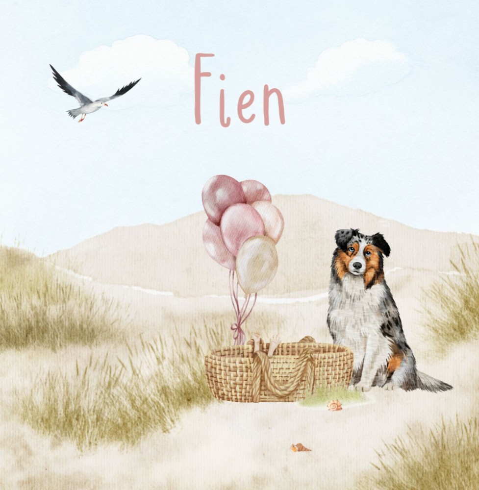 Geboortekaartje Fien - Australian Shephard hond bij rotan mandje strand duinen