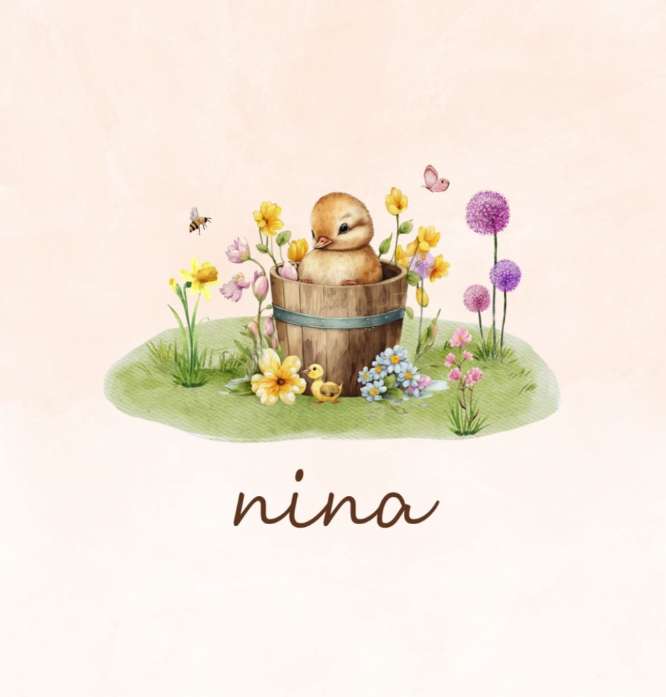 Geboortekaartje Nina - meisje lente met kuikentje