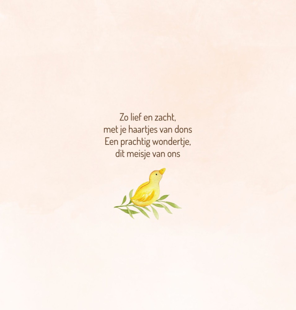 kaart binnenzijde links