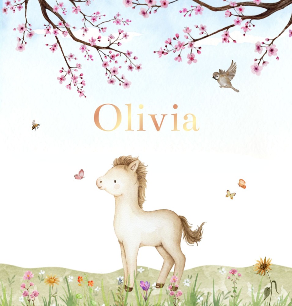 Geboortekaartje Olivia - meisje pony staand