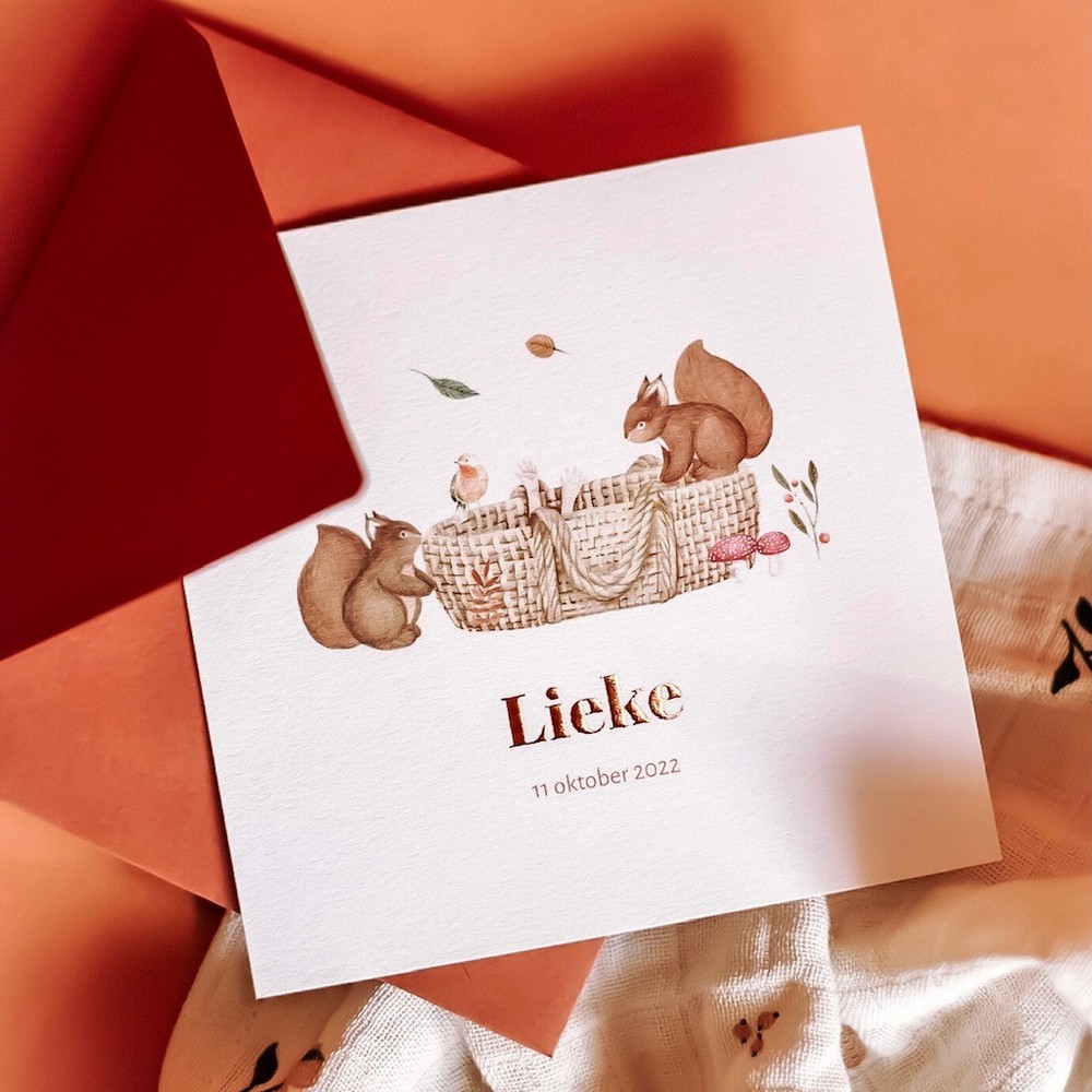 Geboortekaartje Lieke - rotan mandje en nieuwsgierige eekhoorntjes