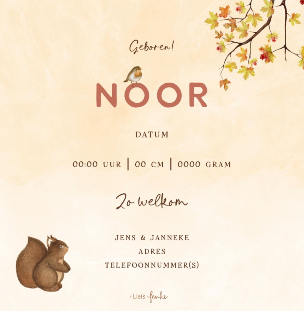 kaart achterzijde