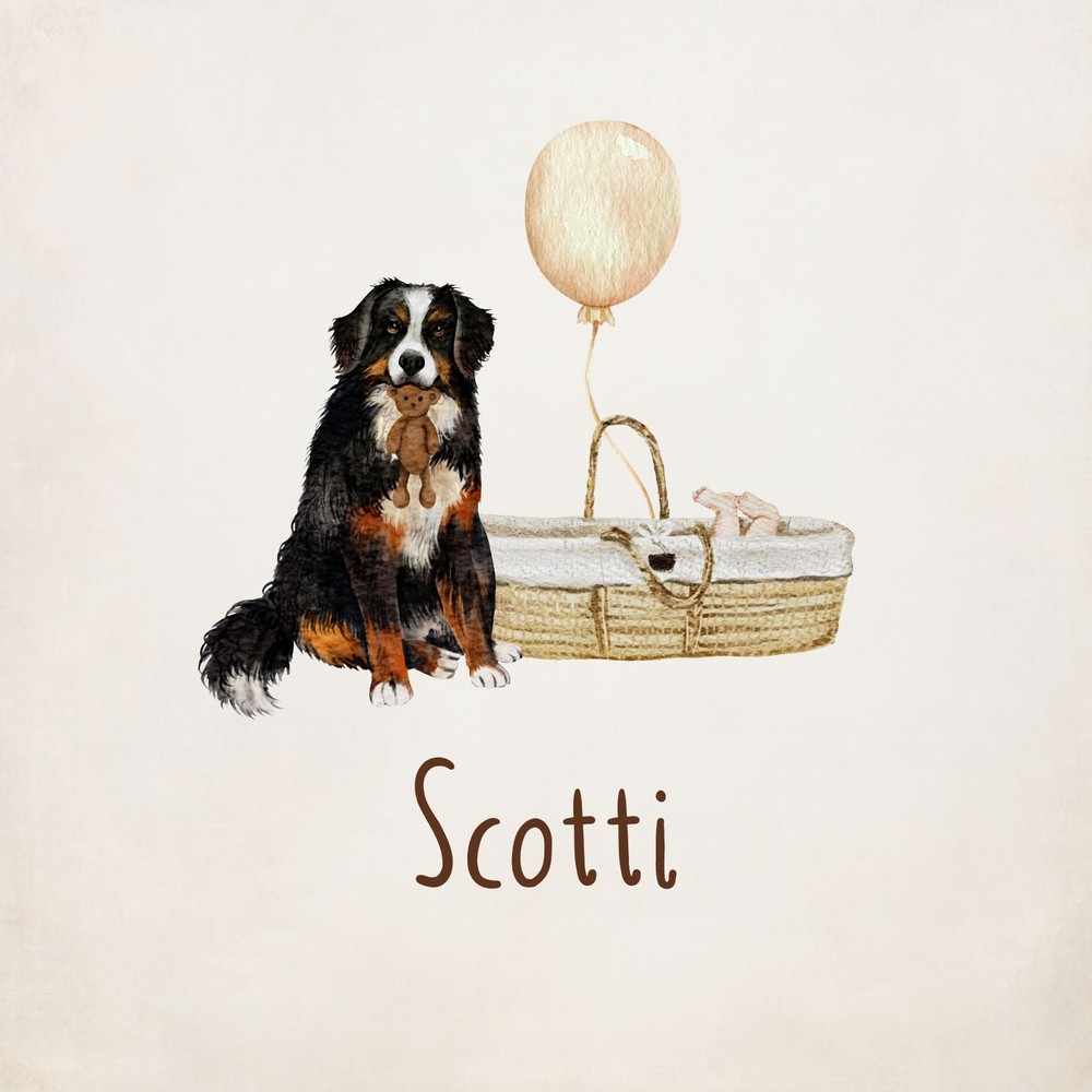 Geboortekaartje Scotti - Berner Sennen hond met knuffeltje bij mandje