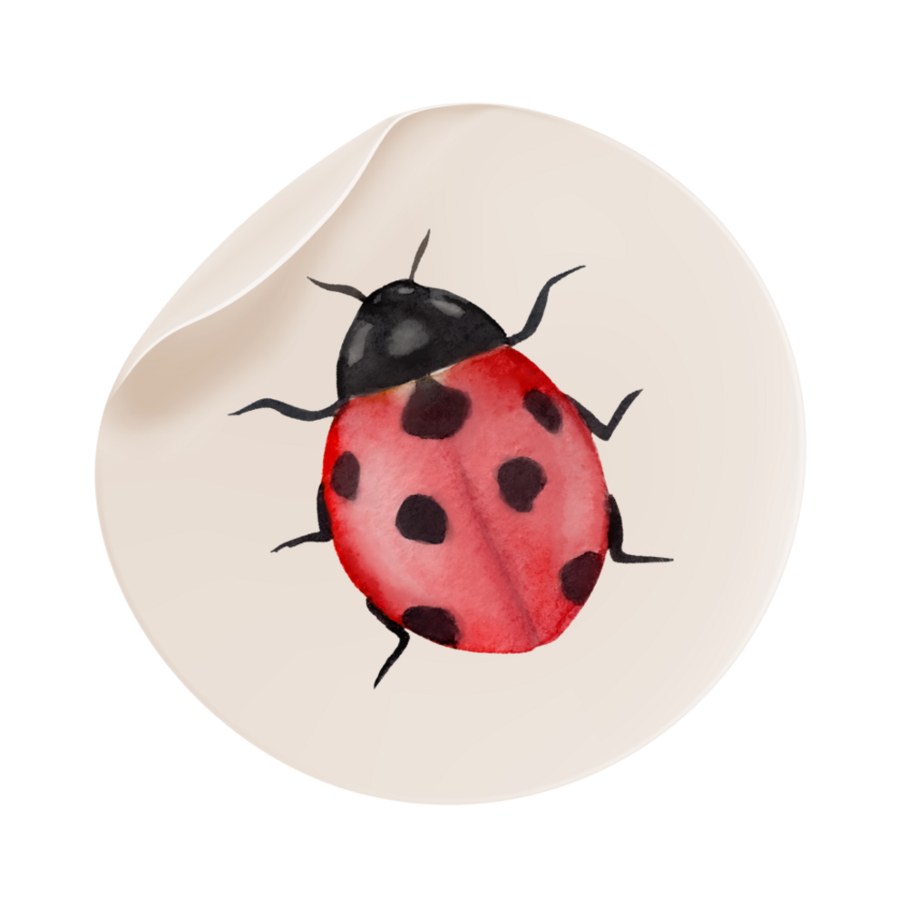 Sluitsticker lieveheersbeestje